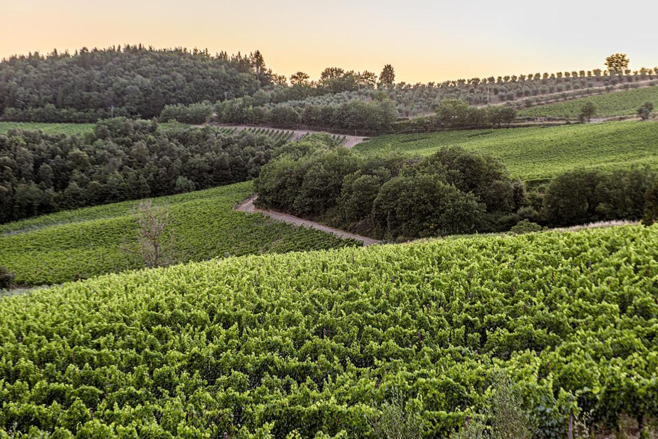 Agriturismo Casa Al Bosco Villa Castellina in Chianti Exteriör bild
